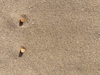 two cigarette butts arranged as bullet points in sand on beach