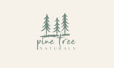 Fototapeta na wymiar pine tree vintage logo evergreen spruce fir vector emblem illustration design