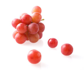 　葡萄　クイーンニーナ
