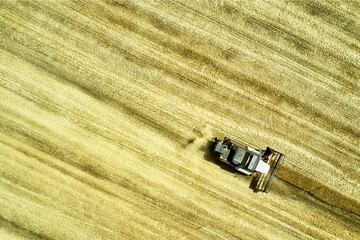 a combine harvester harvesting a field of wheat rural landscape