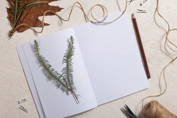 Dried pressed leaf on paper from notebook with pencil , scissors and twine on white background. hobby, handmade , floral art and boho style concept
