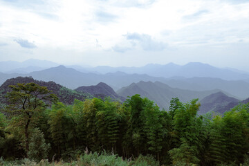 Mountains with bamboo forests in cloudy day