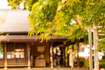 三島市立公園　楽寿園