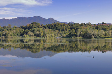 RIFLESSO NELL'ACQUA DI PIANTE E MONTAGNE SUL LAGO DI VARESE IN ITALIA REFLECTION IN THE WATER OF PLANTS AND MOUNTAINS ON THE LAKE OF VARESE IN ITALY	