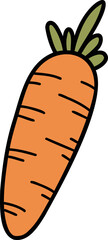 Hand Drawn carrot illustration
