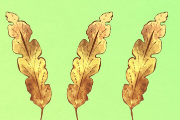 Ilustracja motyw roślinny jasne liście zielone tło	
 - obrazy, fototapety, plakaty