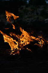 a blazing red fire , camp fire
