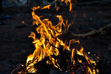 a blazing red fire , camp fire
