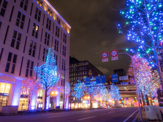 Obraz premium 御堂筋のイルミネーション