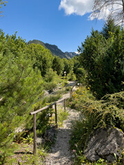 Beautiful hiking trail in the mountains beside a small stream, Pfronten Bavaria, Alpengarten
