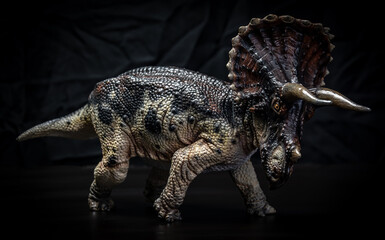 Obraz premium dinosaur , triceratops in the dark