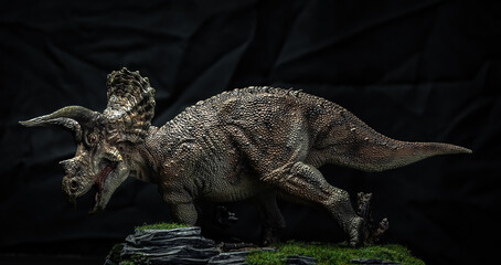 dinosaur , triceratops in the dark © meen_na