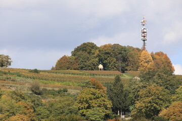 Obraz premium Lindenhain auf dem Schutterlindenberg, Schubertdenkmal