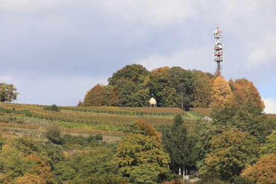 Lindenhain auf dem  Schutterlindenberg, Schubertdenkmal