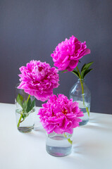 Composition of beautiful pink peonies in transparant glass bottles on a white table background.