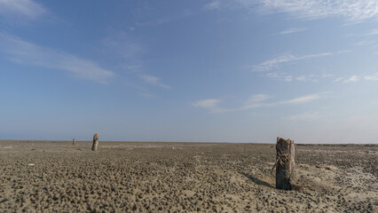 Frog perspective of lone old wooden posts wave-breakers at an empty dry flat sand landscape during...