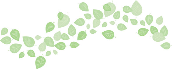 Elegant background with leaves