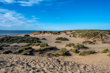 sand dunes in the beach
