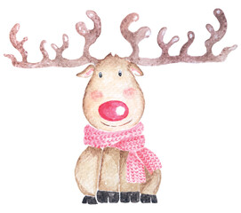 Reindeer paint by watercolor illustration for  christmas.cartoon deer cute.