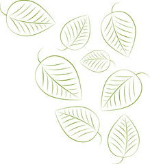 Background with green leaves