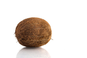 Tropical fruit coconut on white background. summer