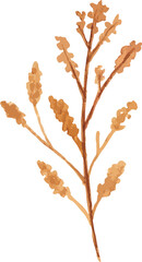 watercolor leaf minimal floral