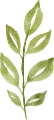 watercolor leaf minimal floral