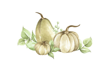 Watercolor pumpkins. Autumn decoration floral design. Botanical illustration. Thanksgiving card.