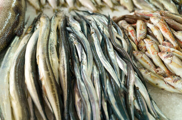 Fototapeta premium Freshly caught fish lies on the counter in the market.