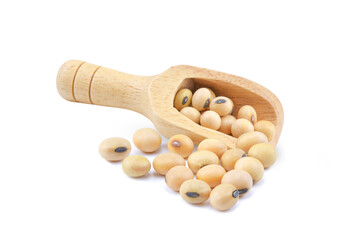 Soybeans in wooden scoop isolated on white background.