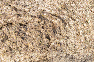Texture of dry cow patty top view close-up