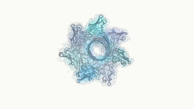 3D structure of a DNA sequencing nanopore protein - alpha-hemolysin from Staphylococcus aureus. This protein is part of a a third generation sequencing setup.