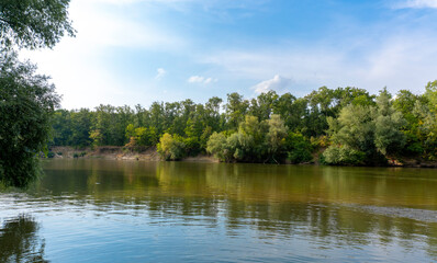 Fototapeta na wymiar Sunny day on a calm river in summer