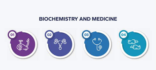 infographic element template with biochemistry and medicine outline icons such as stationary bike, reproductive system, diage, mice vector.