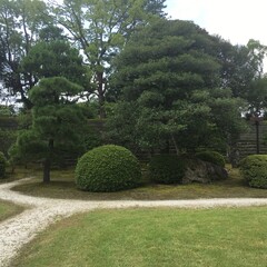 Jardin japonais