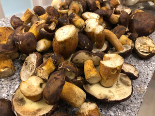 Freshly harvested mushrooms on the kitchen counter