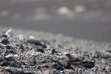 伊豆大島の裏砂漠トレイル