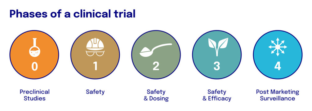 4 Phases Of A Clinical Trial In Medicine And Pharmacy Scheme And Illustration With Icons And Description