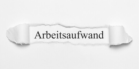 Arbeitsaufwand	
