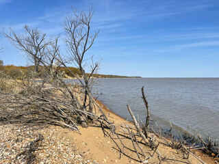 The shore of Lake Khanka on a clear autumn day. Russia, Primorsky Krai