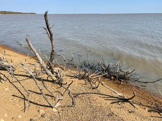 The shore of Lake Khanka on a clear autumn day. Russia, Primorsky Krai
