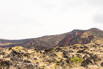 伊豆大島の三原山トレイル