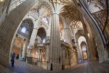 Fototapeta na wymiar New Cathedral of Salamanca, Salamanca City, Spain, Europe.