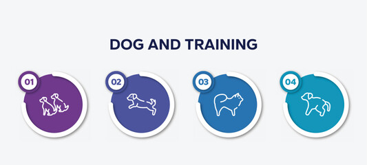 infographic element template with dog and training outline icons such as dogs, dog scaping, chow chow, scold the dog vector.