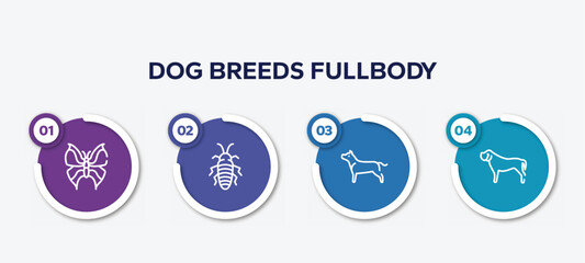 infographic element template with dog breeds fullbody outline icons such as leaf butterfly, madagascan, american staffordshire terrier, mastiff vector.