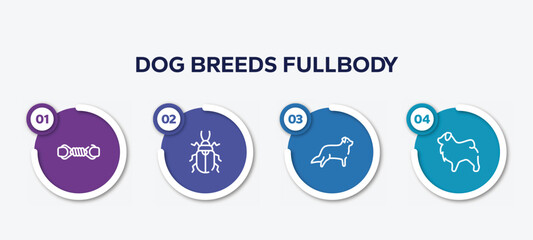 infographic element template with dog breeds fullbody outline icons such as pet toy, pollen beetle, bernese mountain, tibetan mastiff vector.