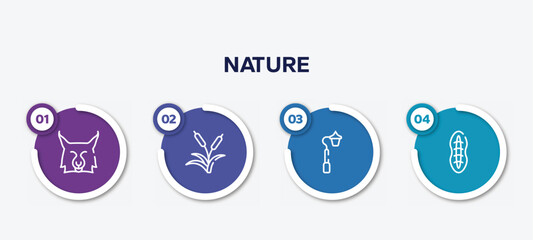 infographic element template with nature outline icons such as lynx, reeds, streetlight, plankton vector.