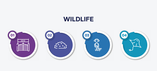 infographic element template with wildlife outline icons such as zoo, hive, cleaner, manta ray vector.