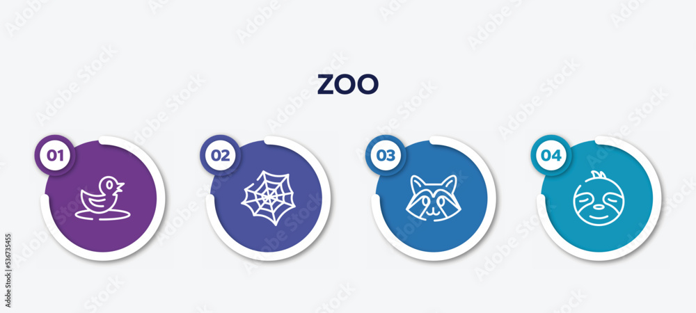 Poster infographic element template with zoo outline icons such as duck, spider web, racoon, sloth vector.