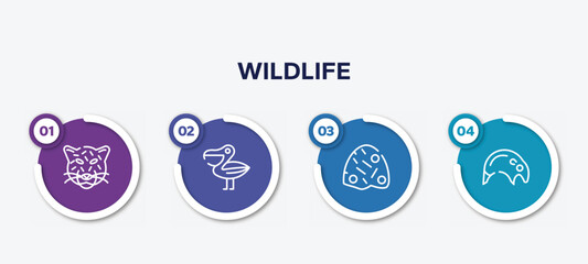 infographic element template with wildlife outline icons such as jaguar, pelican, anthill, tapir vector.